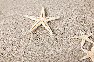 宝可梦官方短视频账号翻车 皮卡丘搭配脏话背景音乐